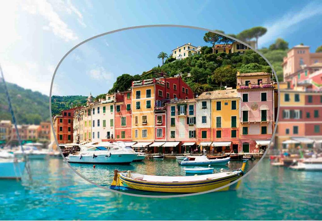 polarised lens